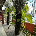 Pousada Manjericao