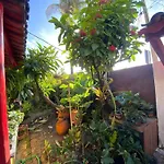Casa Vera Arruda Pousada Leao