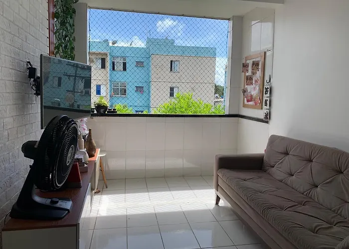 Ape em Maceió