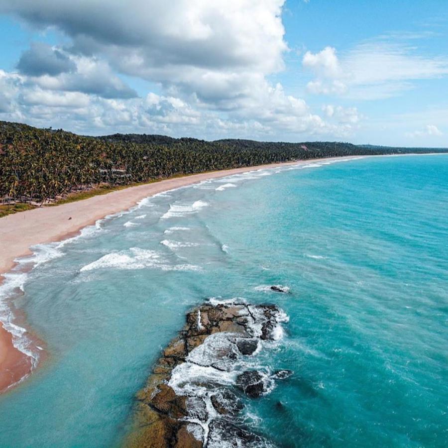 Mandacaru Maceió