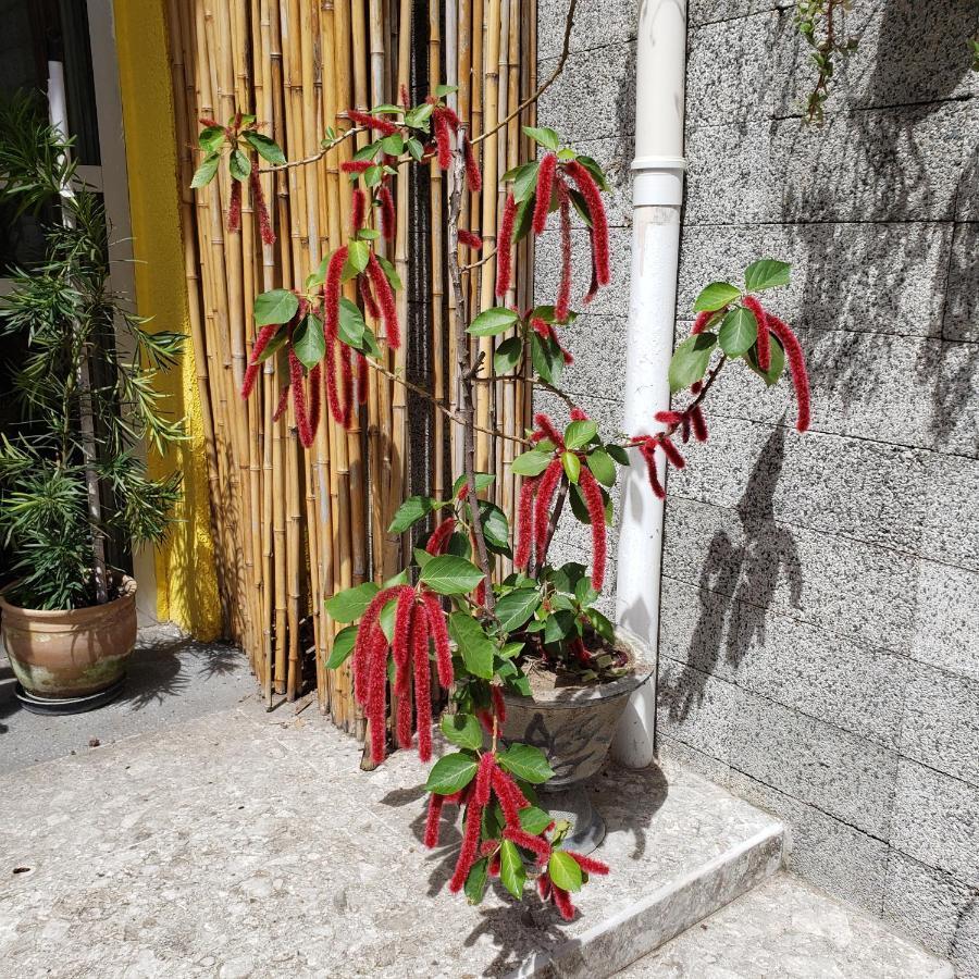 Maraki