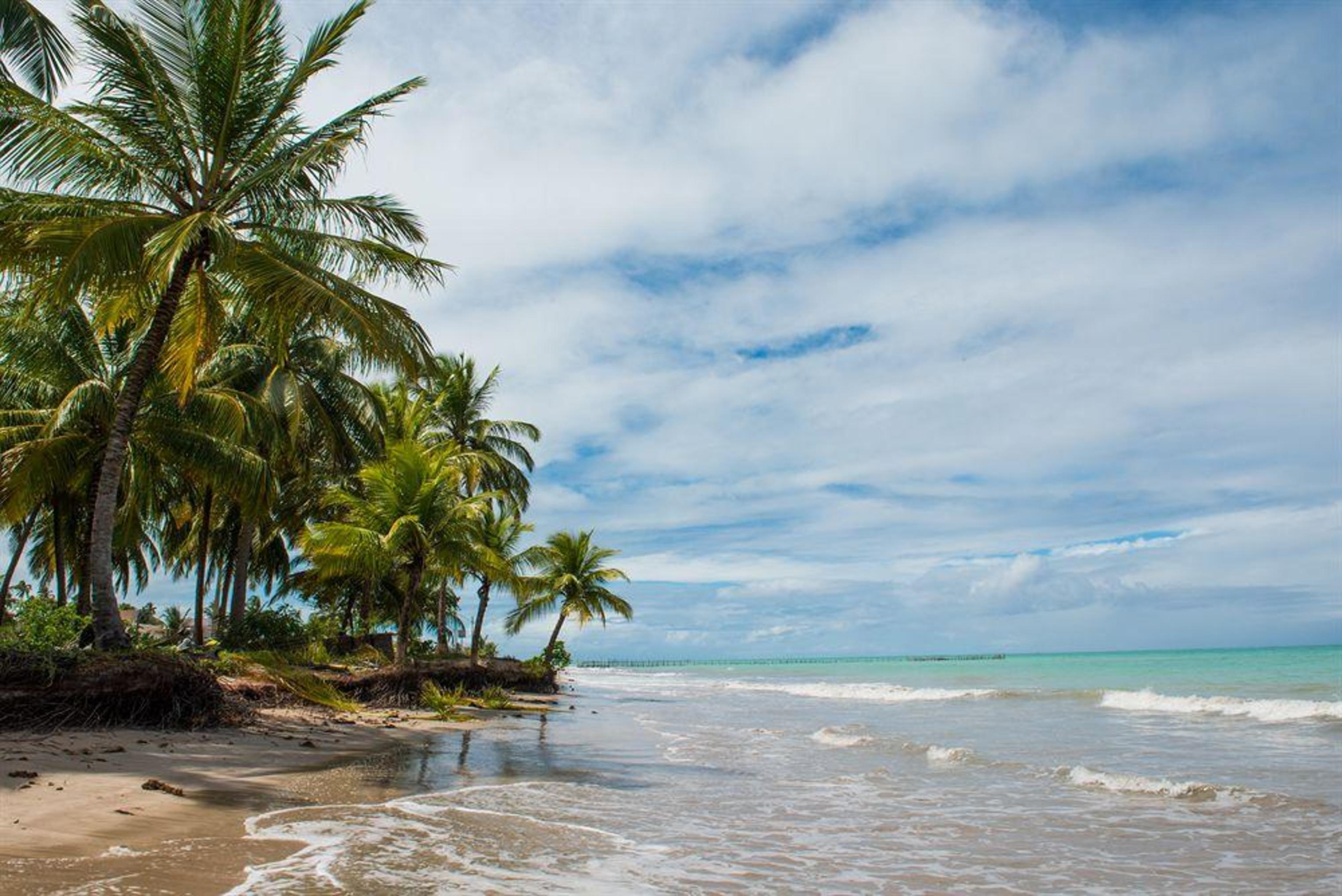 Sete Coqueiros Maceio (Alagoas)