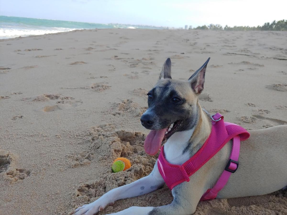 Paradise - Pe Na Areia