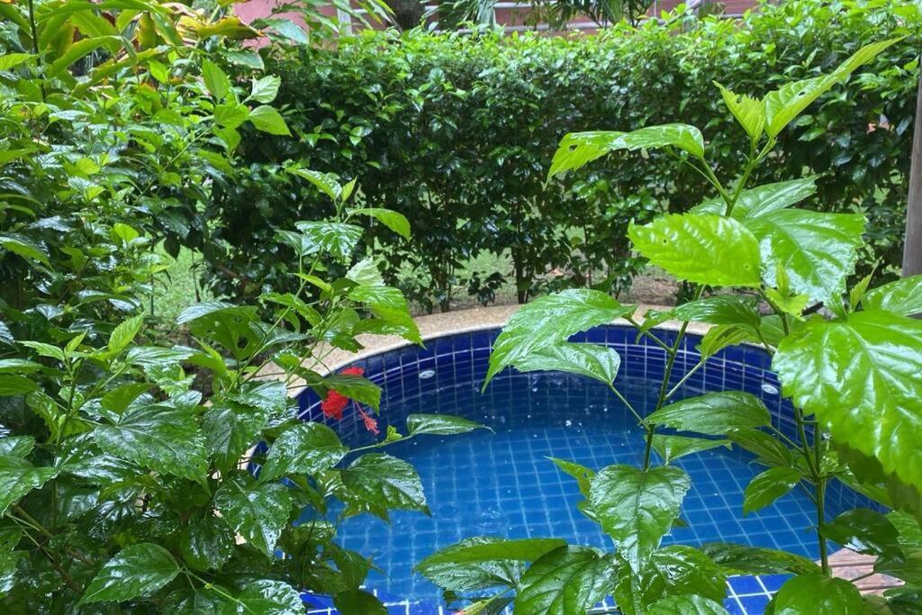 Apartamento Do Pratagy - Coqueiro D1 Maceió