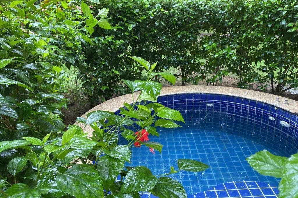Do Pratagy - Coqueiro D1 Apartamento