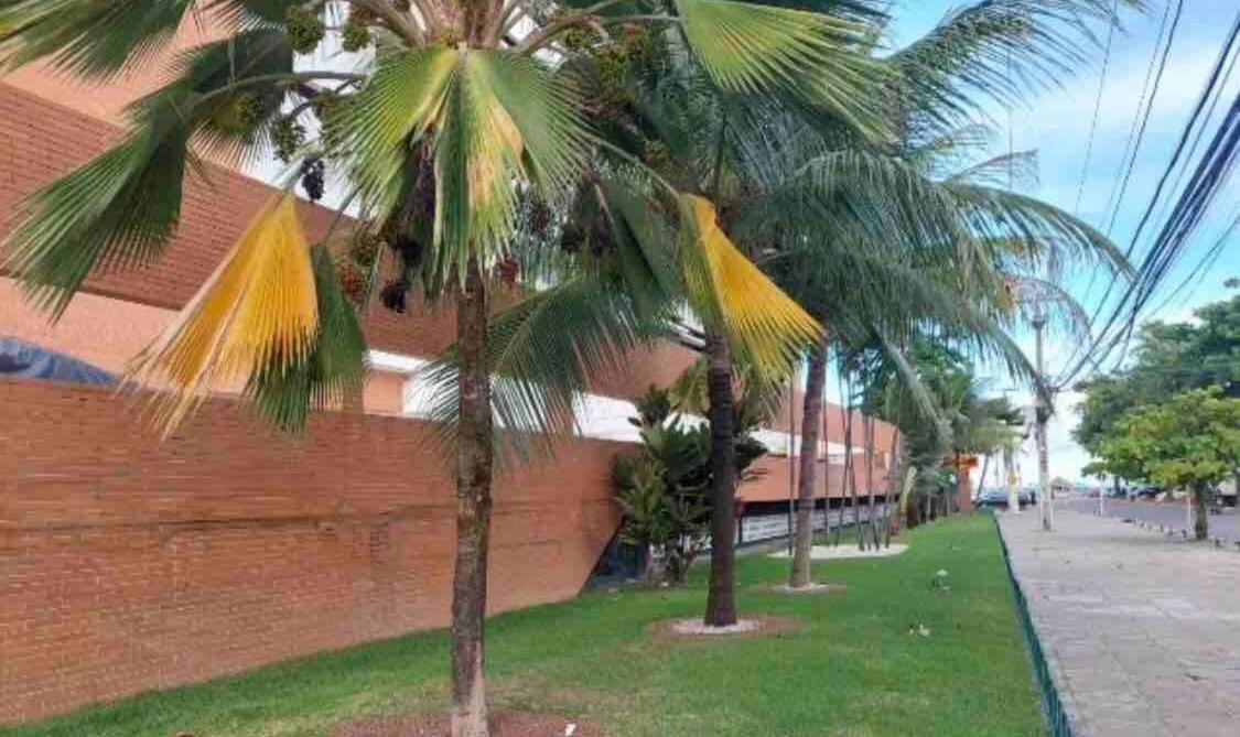 Vista Incrivel Com Restaurante, Academia, Garagem, Wi-Fi Apartamento *