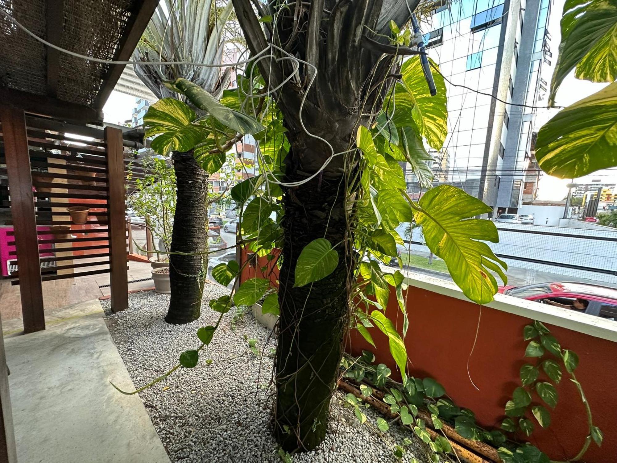 Pousada Manjericao