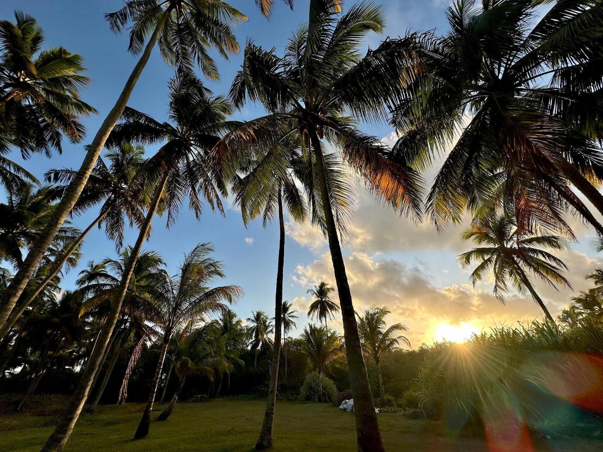 Xie: Exclusividade E Conforto Pe Na Areia Na Reserva Ecologica Maceió