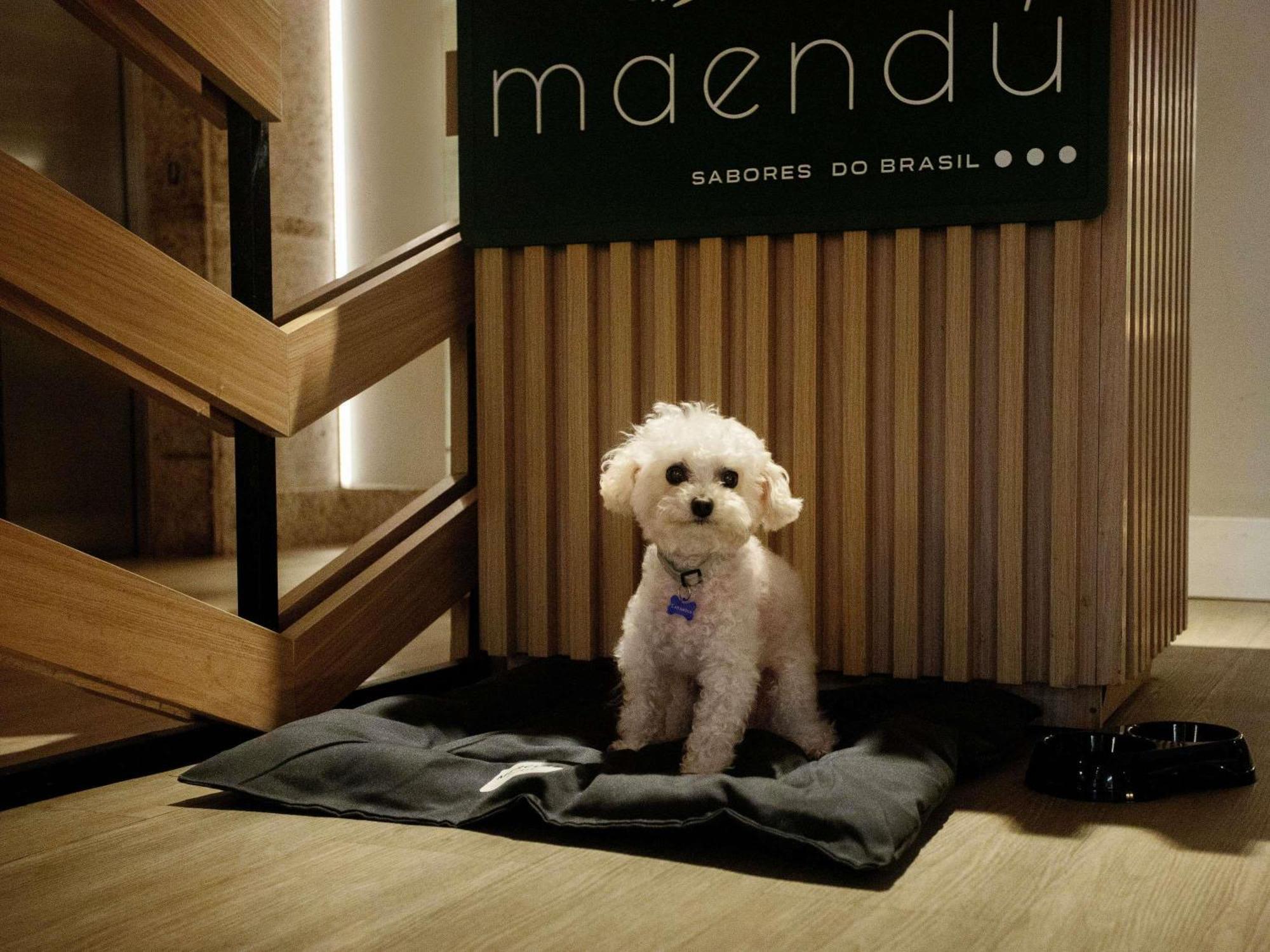 Hotel Mercure Pajucara