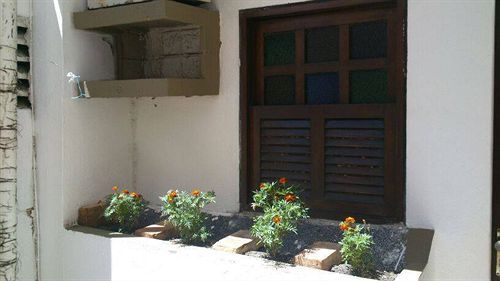 Poutur Maceió