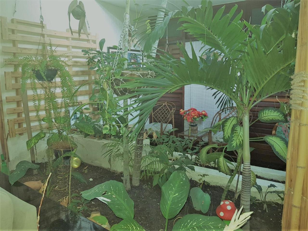 Terra Garrida Maceió