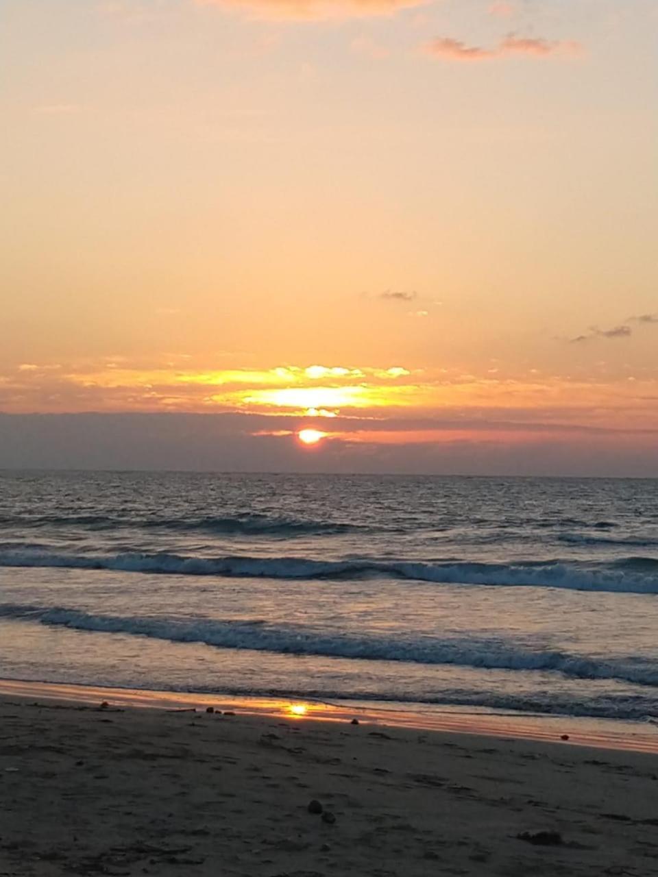 D'anatureza Maceió