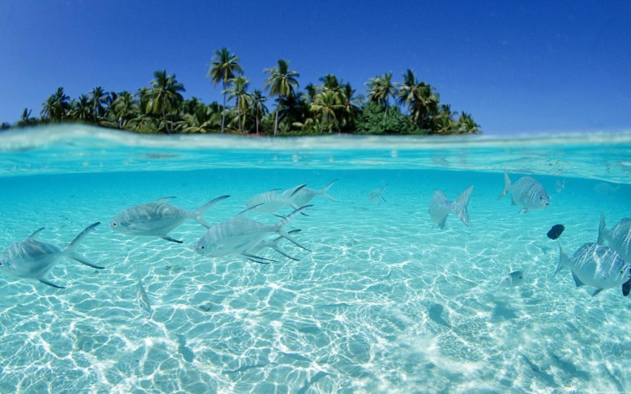 Beira Mar Maceio (Alagoas)