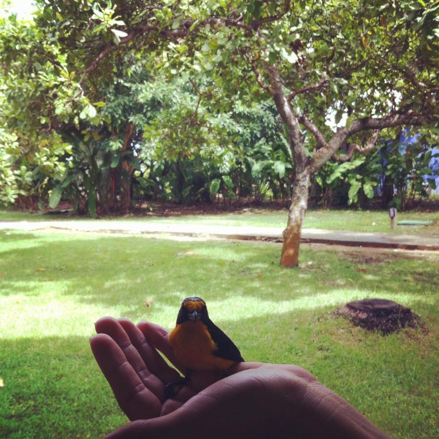 Do Pratagy Cocobambu *