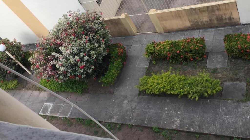 Apto Na Ponta Verde, Proximo A Pontos Turisticos E As Belas Praias De