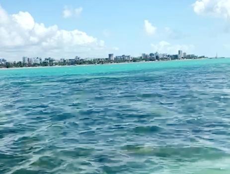 Na Beira Mar De Pajucara: Oceanview With Balcony Maceió