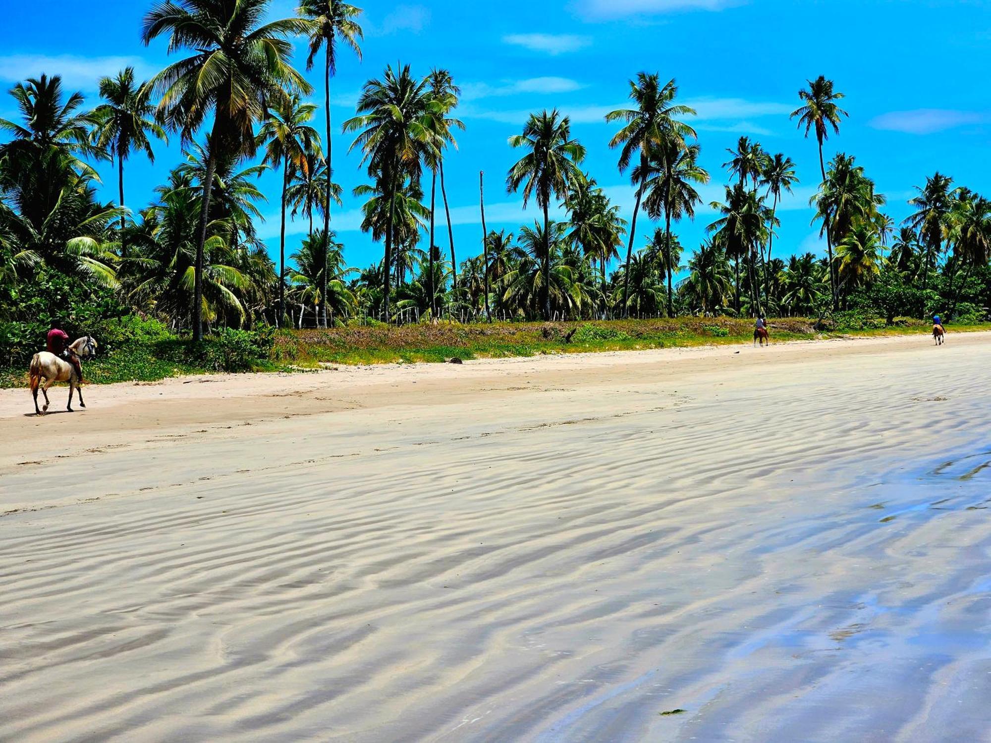 Pousada Romantic Sea W/amazing Sea View - Directly On The Beach! *