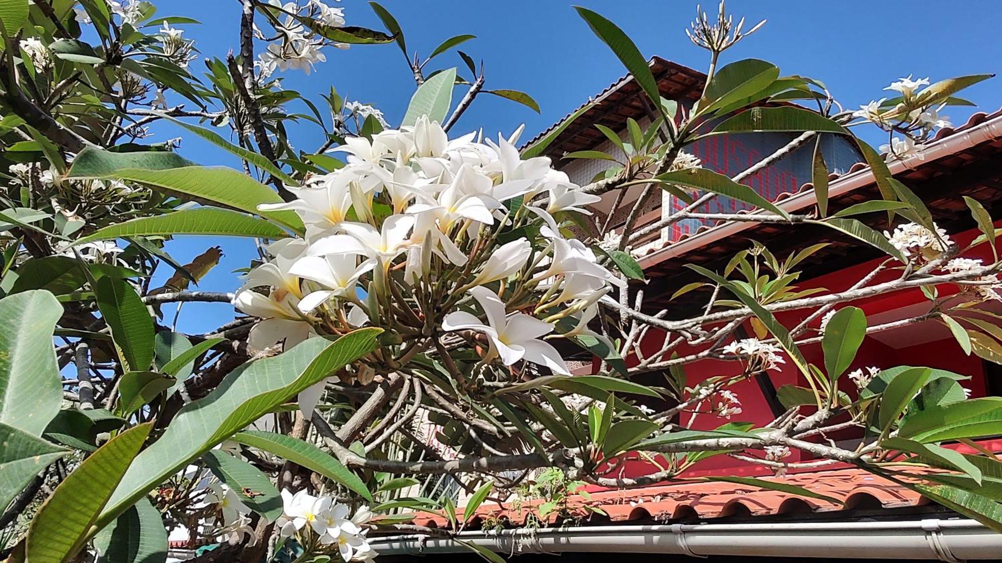 Pousada Bossa Nova Maceio (Alagoas)