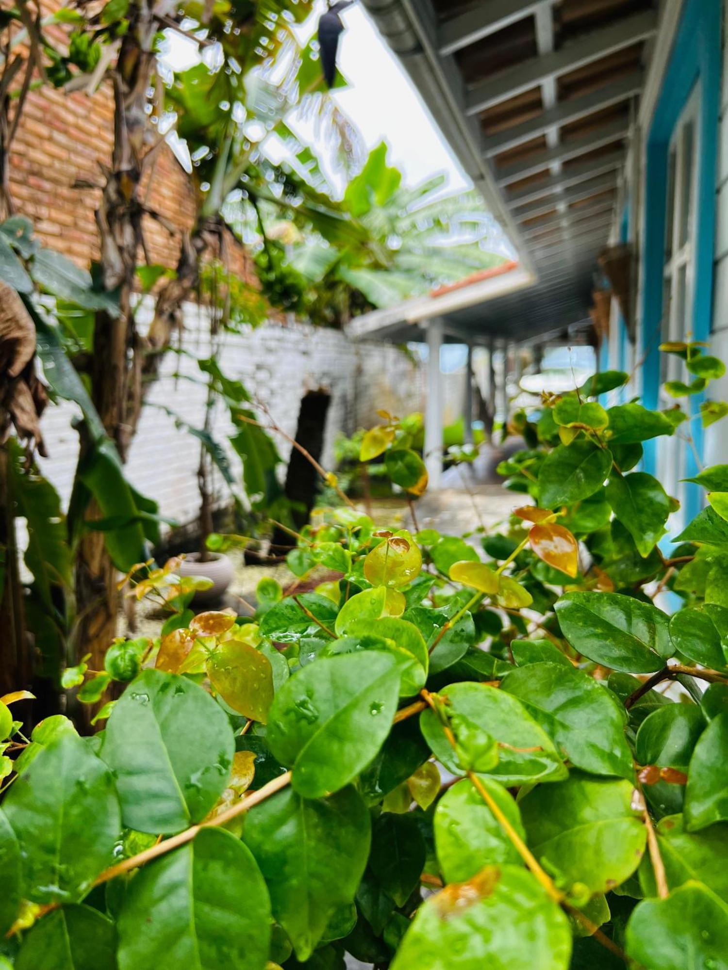 Casa de férias Casa De Temporada Cinco Quartos - Garca Torta Em - Vista Mar Maceió