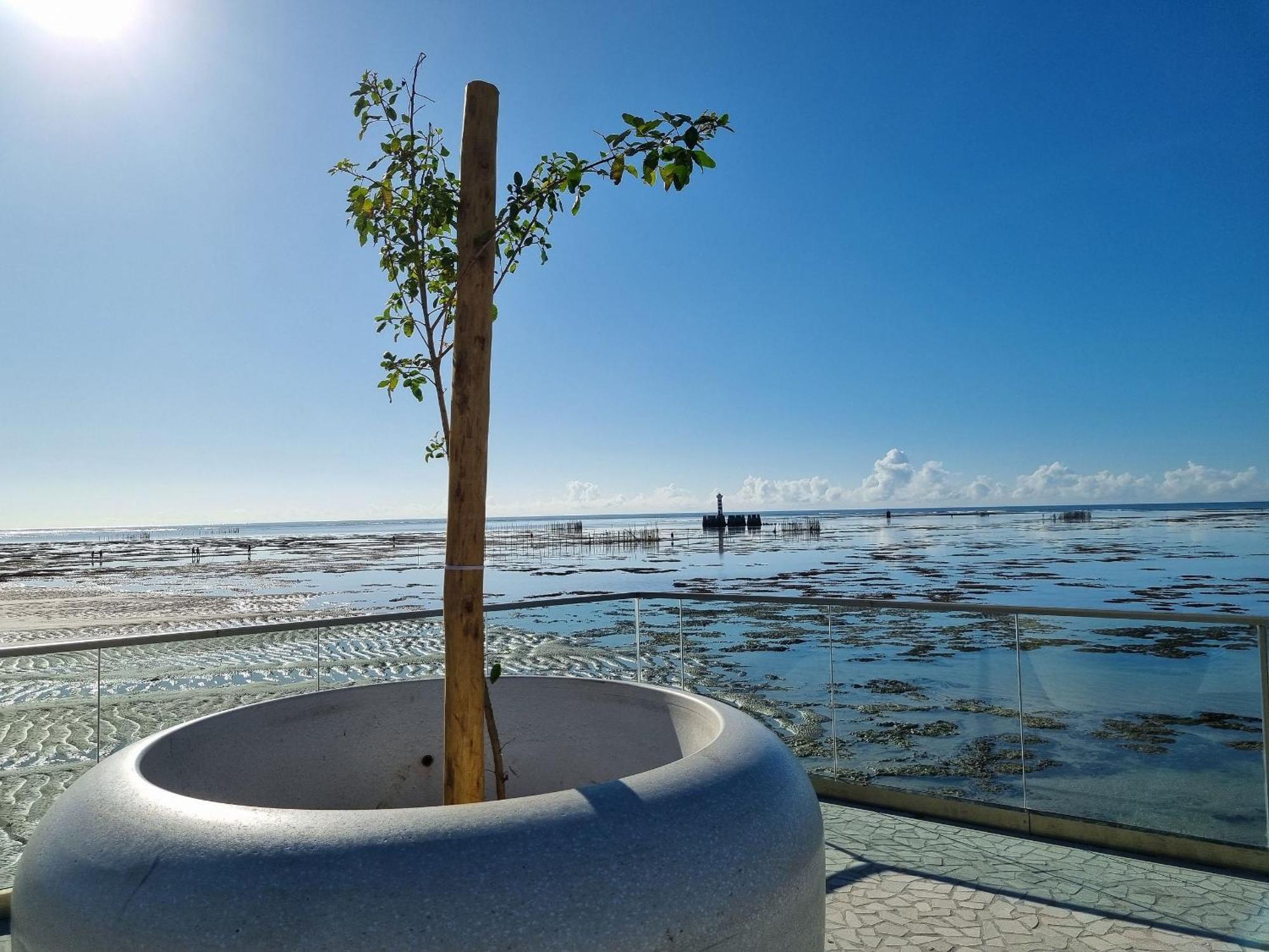 Apartamento Tranquilo E Com Piscina Na Jatiuca *