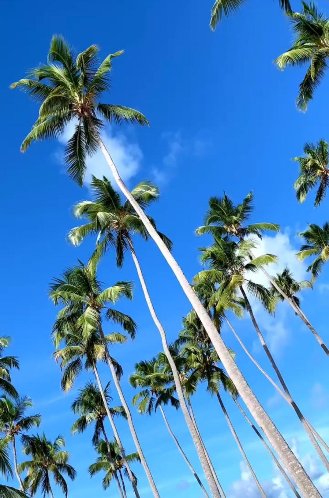 Em Ipioca Maceió