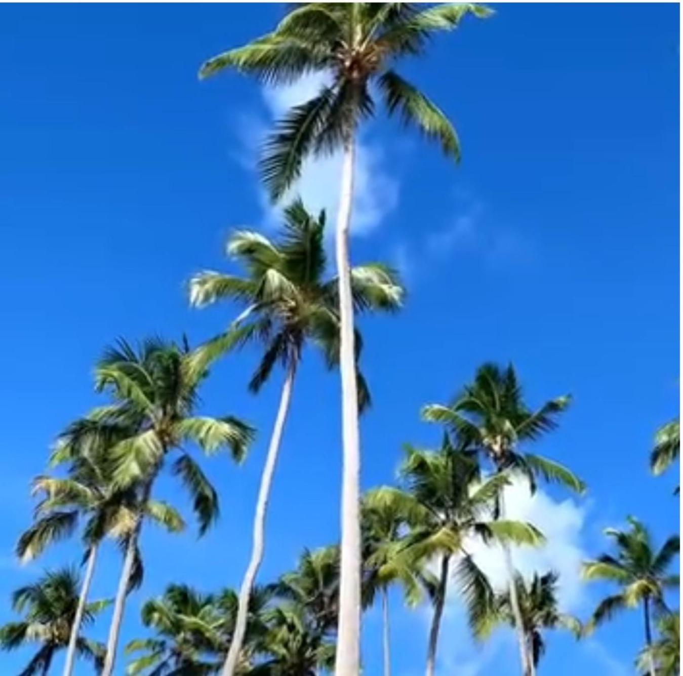 Em Ipioca Apartamento Maceió