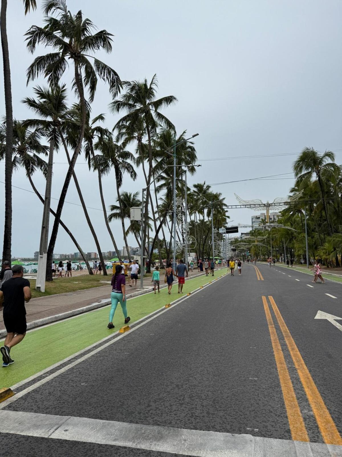 Ponta Paradise Liv 500m Da