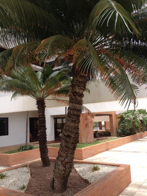 Apartamento Ibiza Ii Maceió
