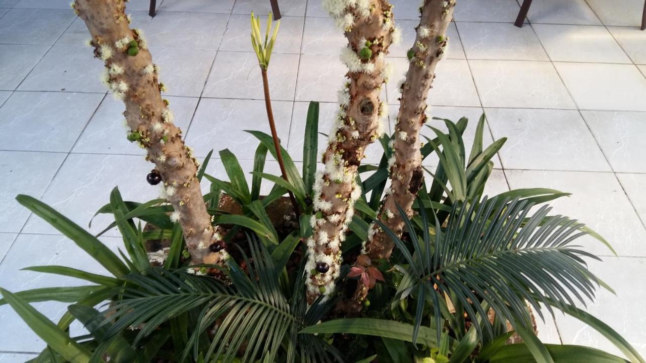 Pajucara Albergue Maceió
