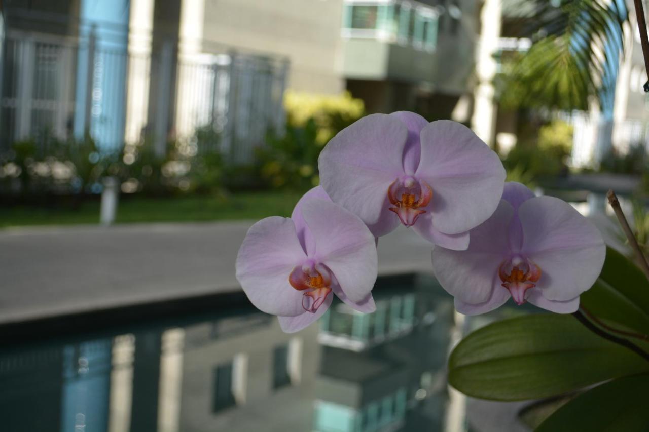 Sun Paradise - Jtr Apartamento Maceió