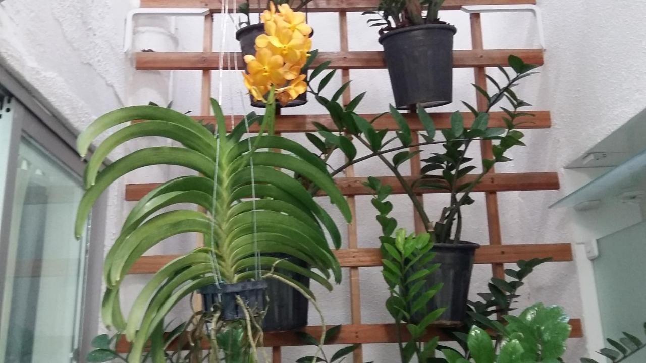 Pajucara Albergue