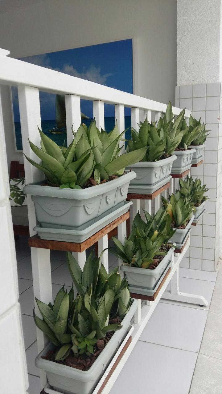 Albergue Pajucara