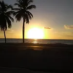 Ametista 8