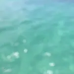Apartamento Na Jatiuca