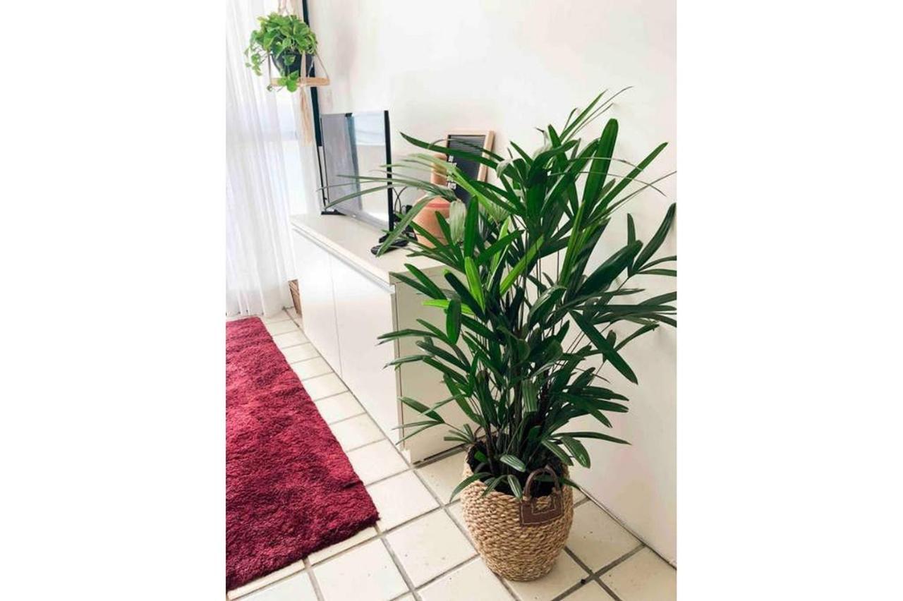 Nautillus - Beira Mar Da Jatiuca Apartamento Maceió