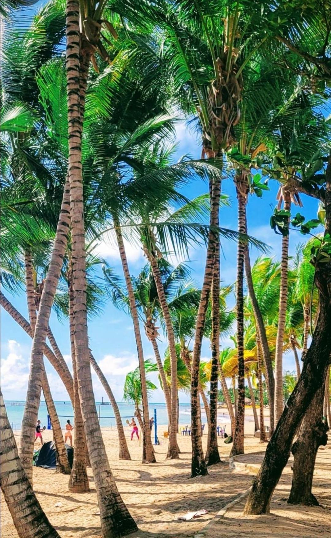 Apartamento In Ponta Maceió