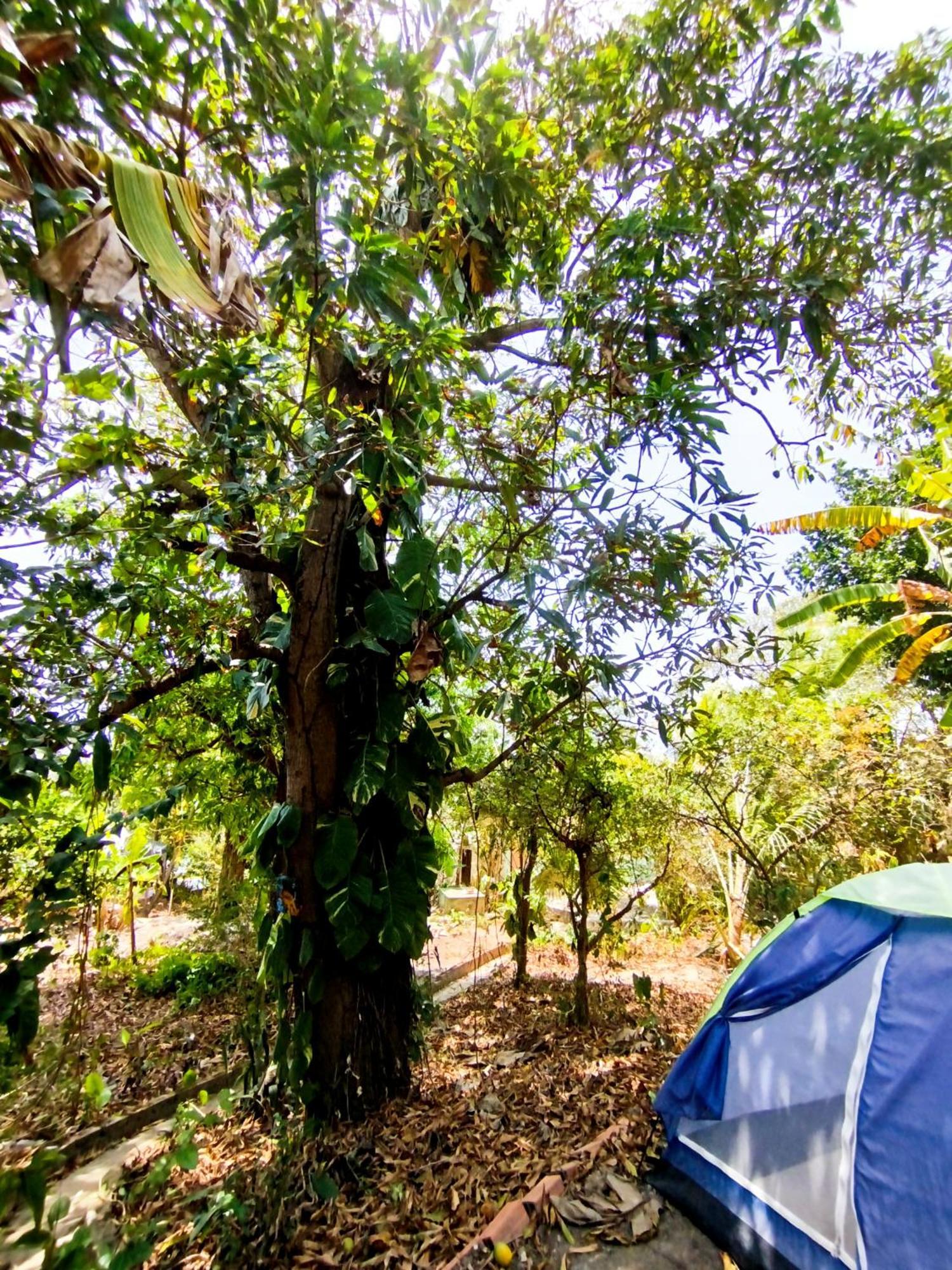 Recanto Do Cajueiro Acampamento *