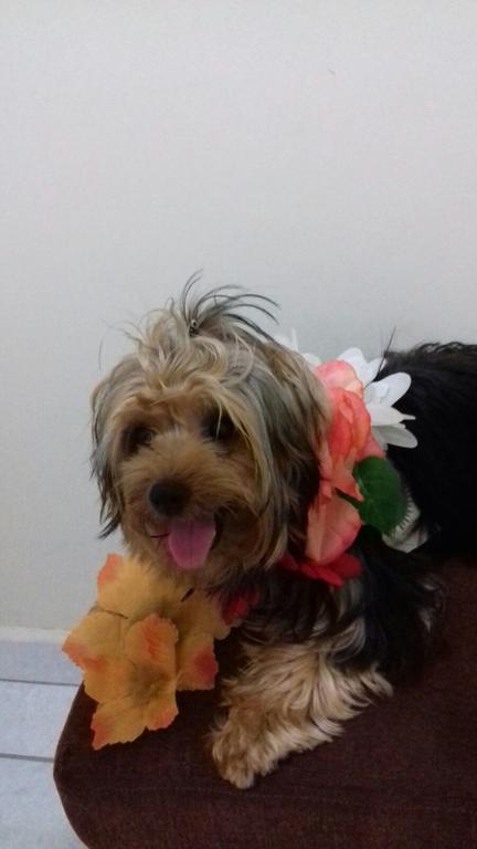 Hospedagem domiciliar Quarto Aconchegante Jatiuca *