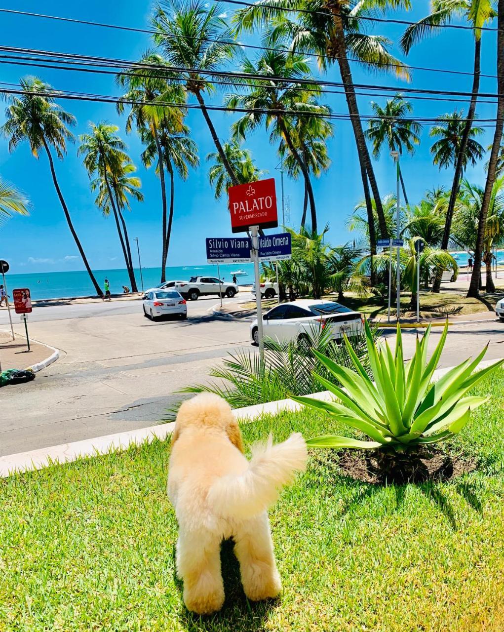 Perfeito Beira-mar Em Ponta Verde - Ap Completo E Melhor Localizado De Maceio! *